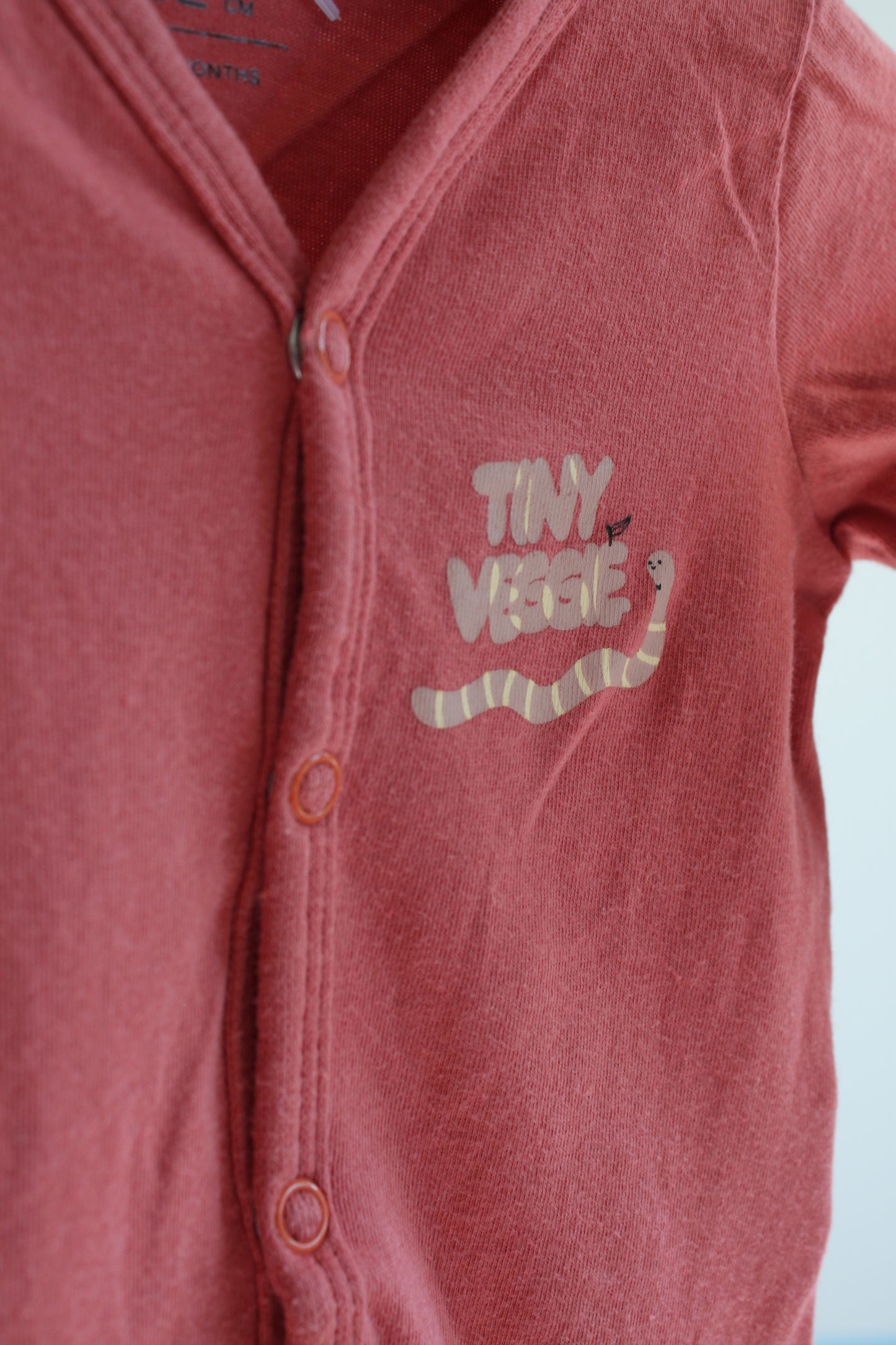 Šliaužtinukas Fox&bunny