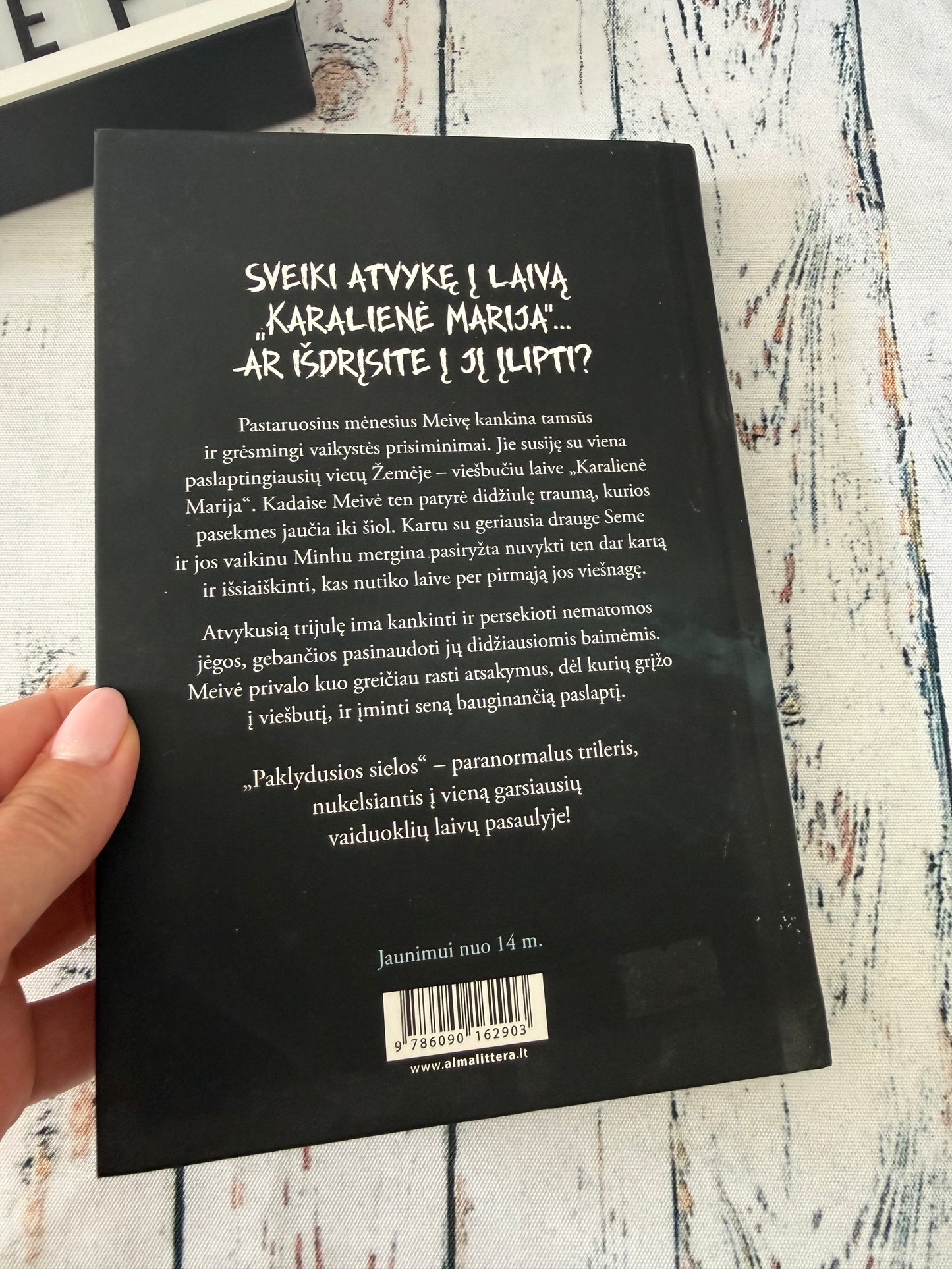 🌩️📖 Paklydusios sielos – Tamara Arts