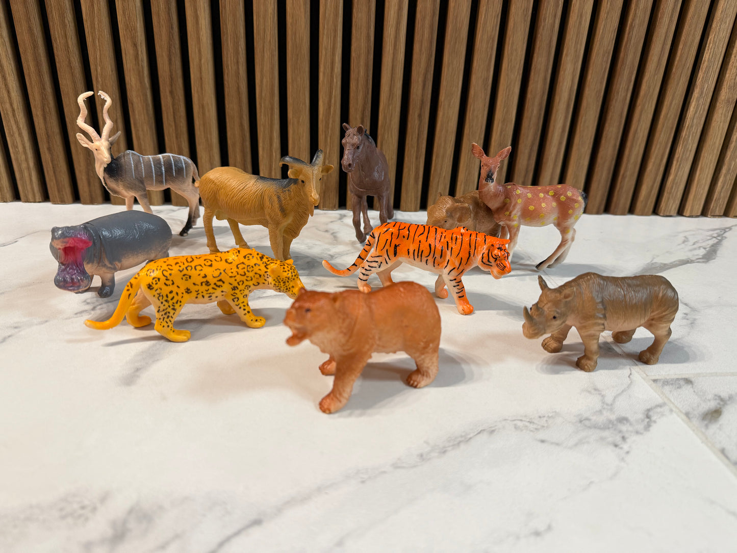 Safari Gyvūnų Rinkinys Mažiems Tyrinėtojams🐾