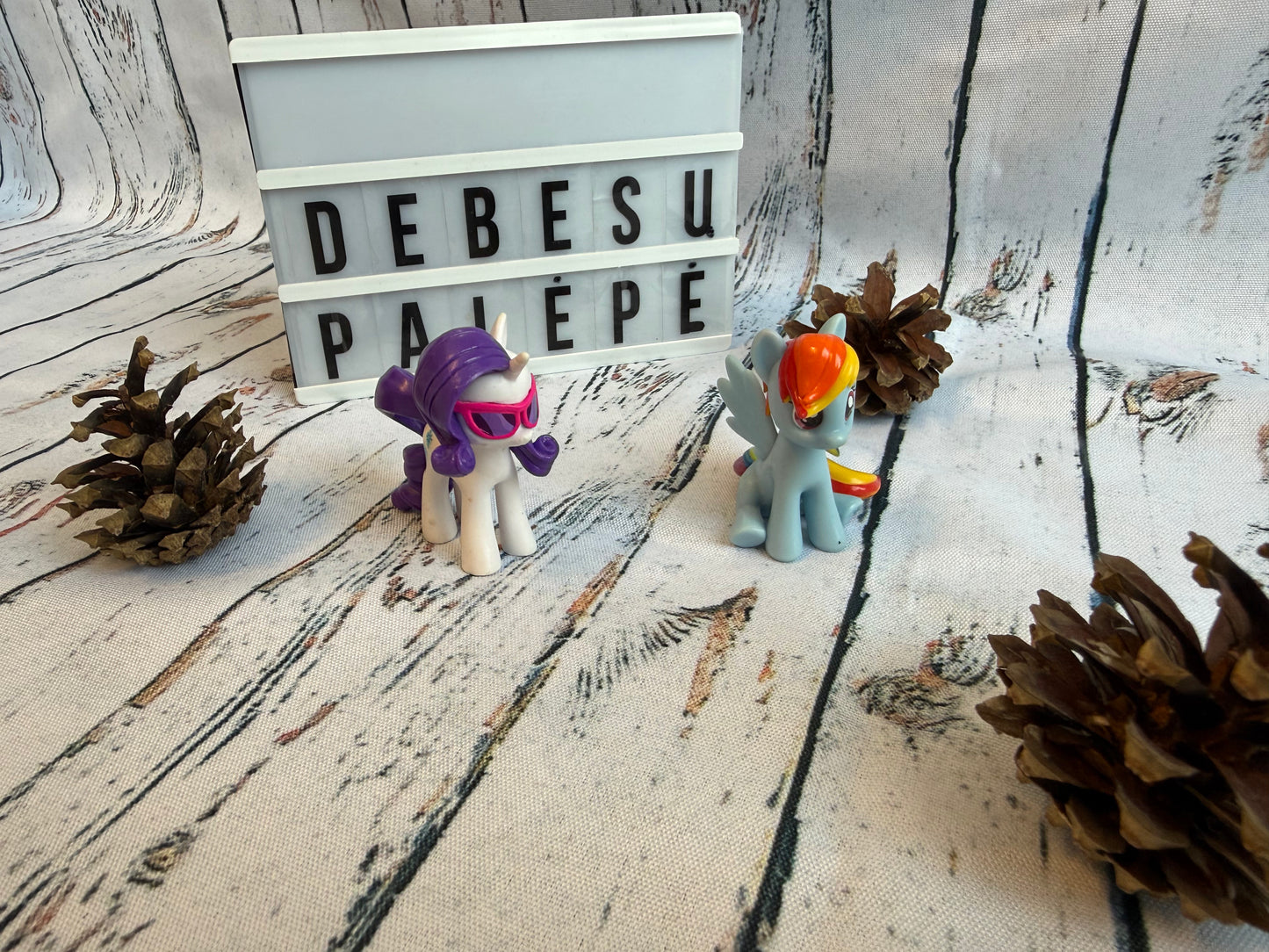 🦄 Dvi drąsios ponės naujiems nuotykiams