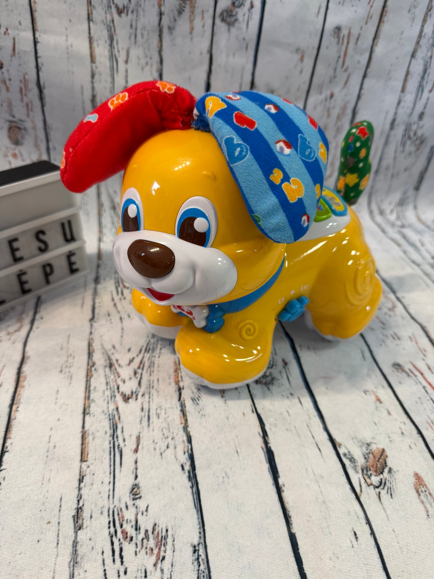 🐶🎶 Kalbantis ir važiuojantis šuniukas