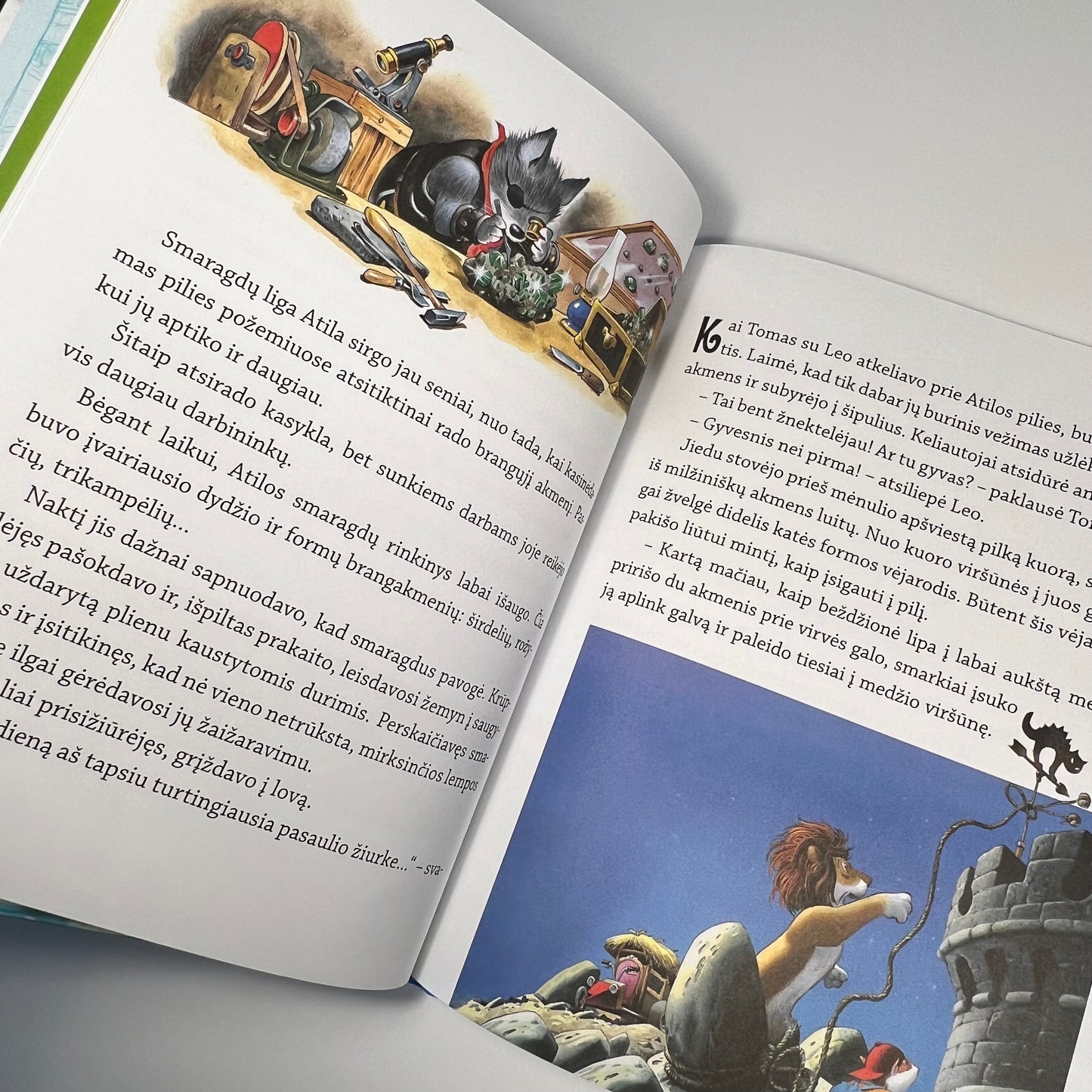 Knyga Didysis smaragdas Robinzono sugrįžimas