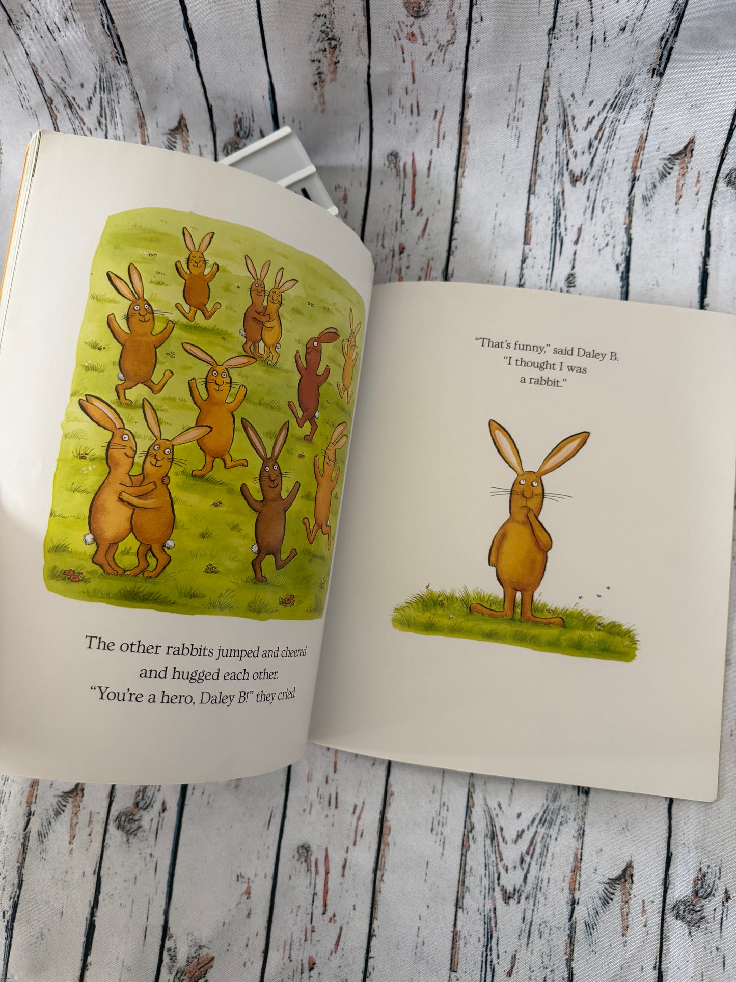 🐰📖 Angliška vaikiška knyga You're a Hero, Daley B!