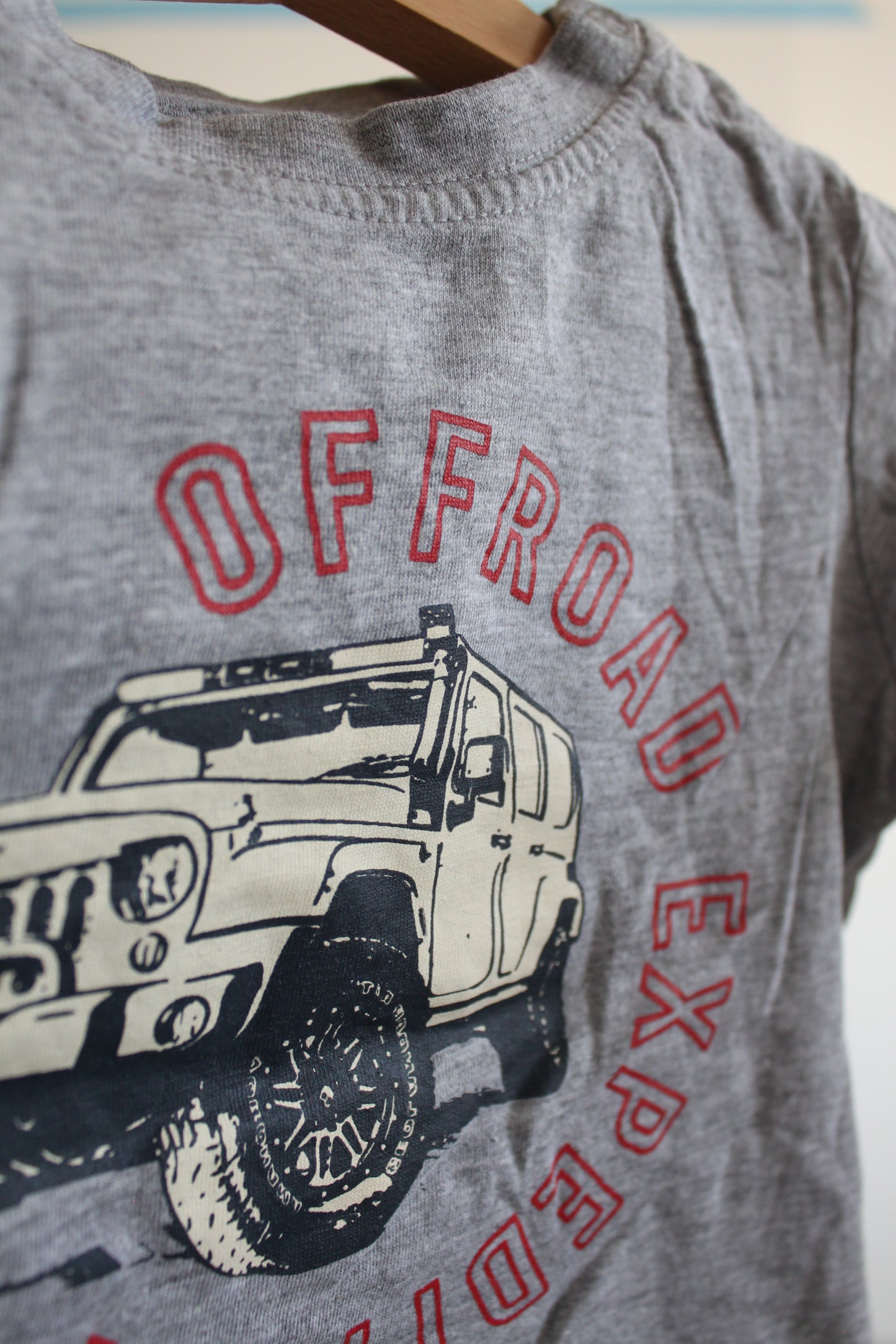 Marškinėliai Lupilu