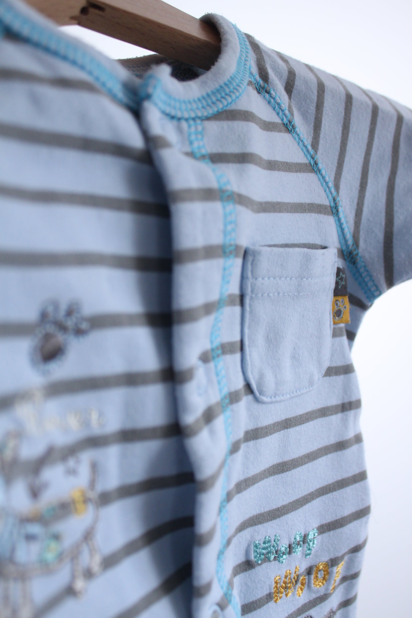 Šliaužtinukas St.Bernard