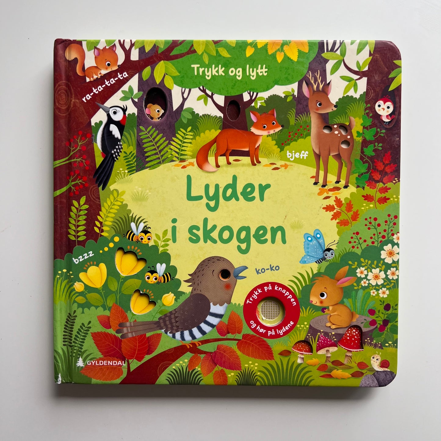 Knyga Lyder i skogen