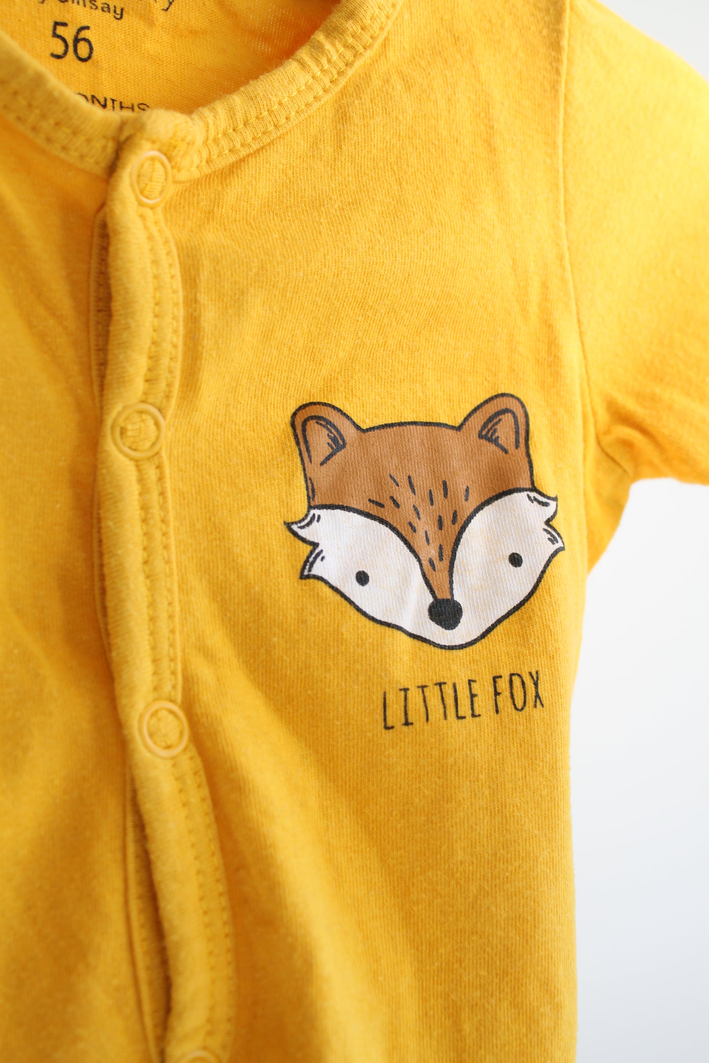 Šliaužtinukas Fox&bunny