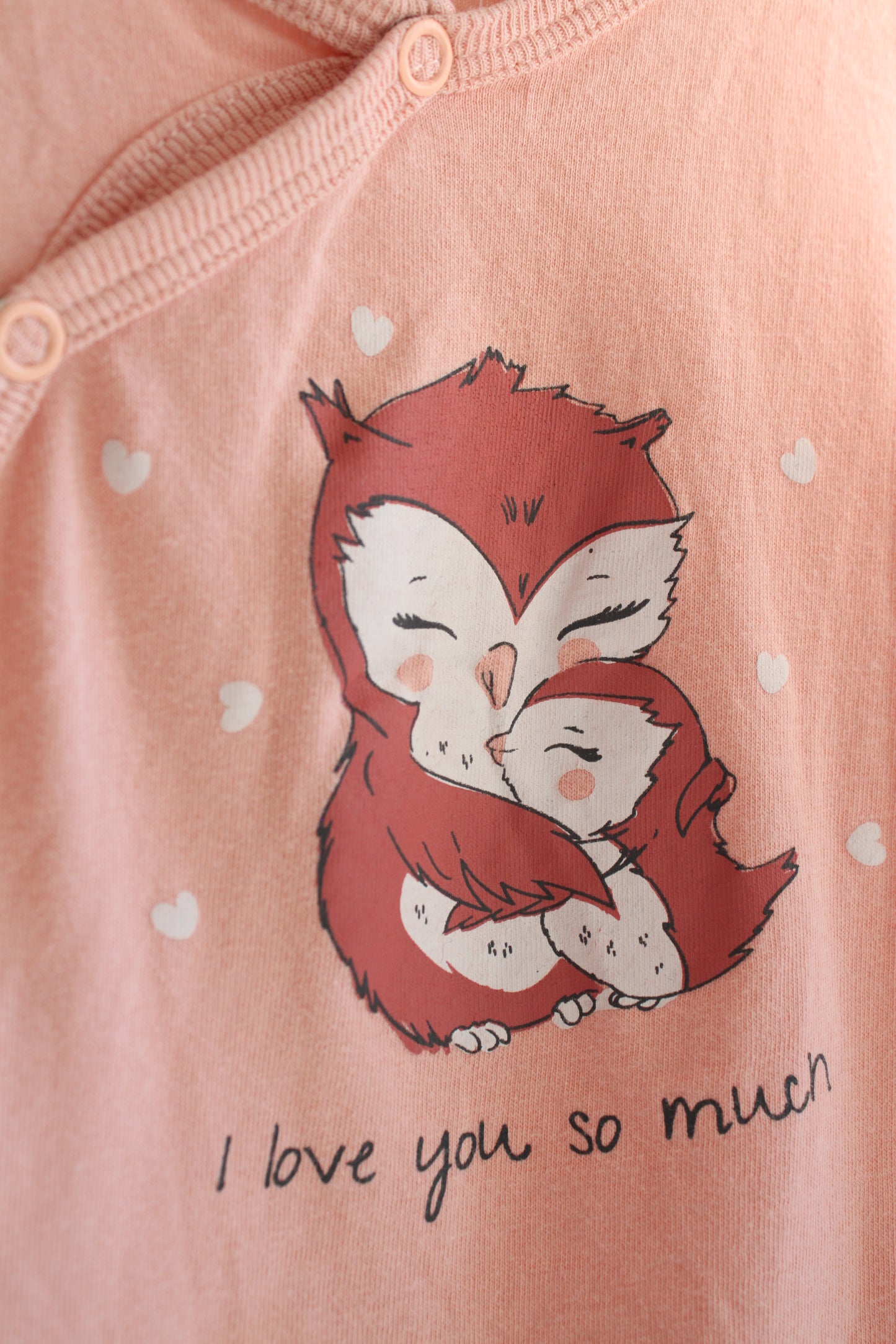 Šliaužtinukas Fox&bunny