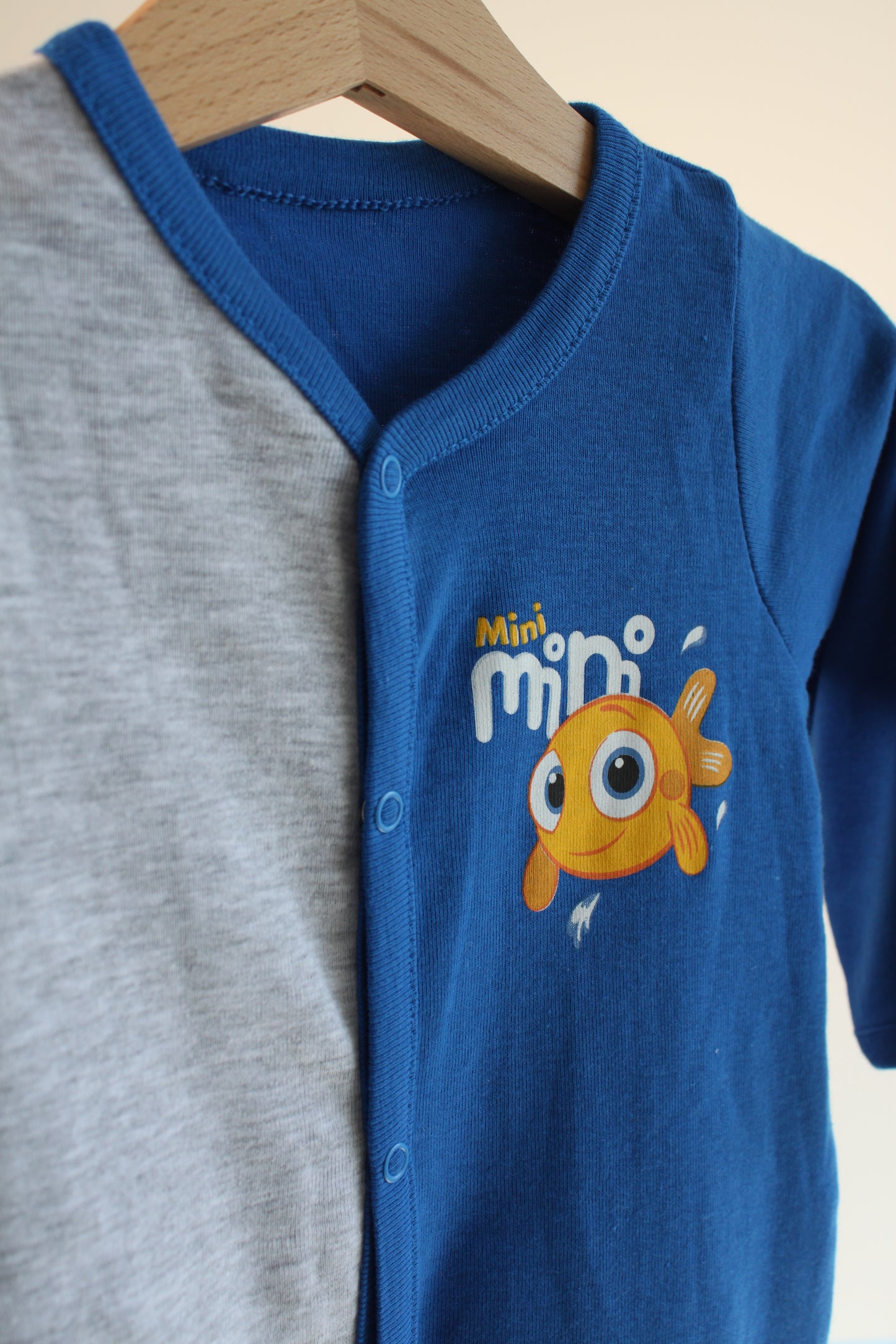 Šliaužtinukas Raj.Pol