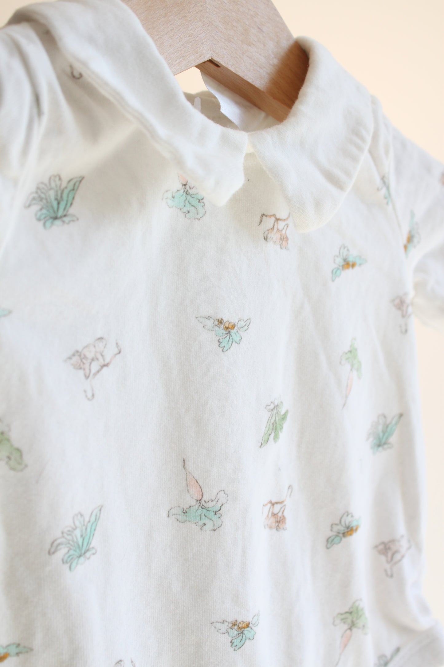 Smėlinukas Peter rabbit