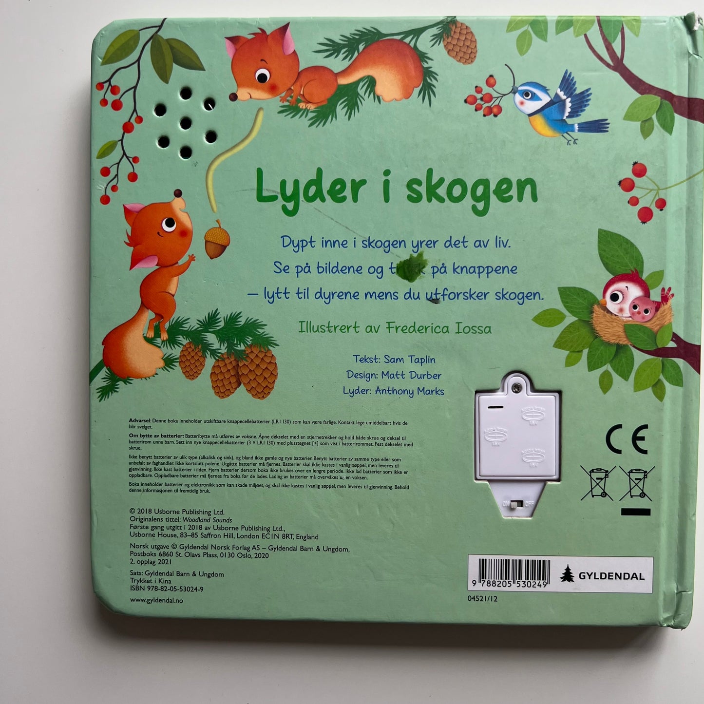 Knyga Lyder i skogen