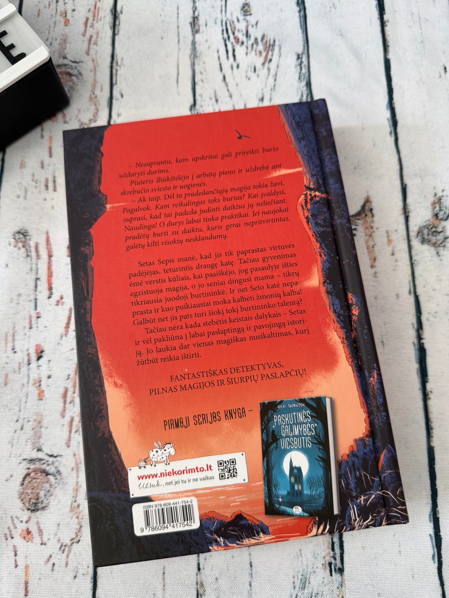 📚🌊 Prakeiktas švyturys – Nicki Thornton