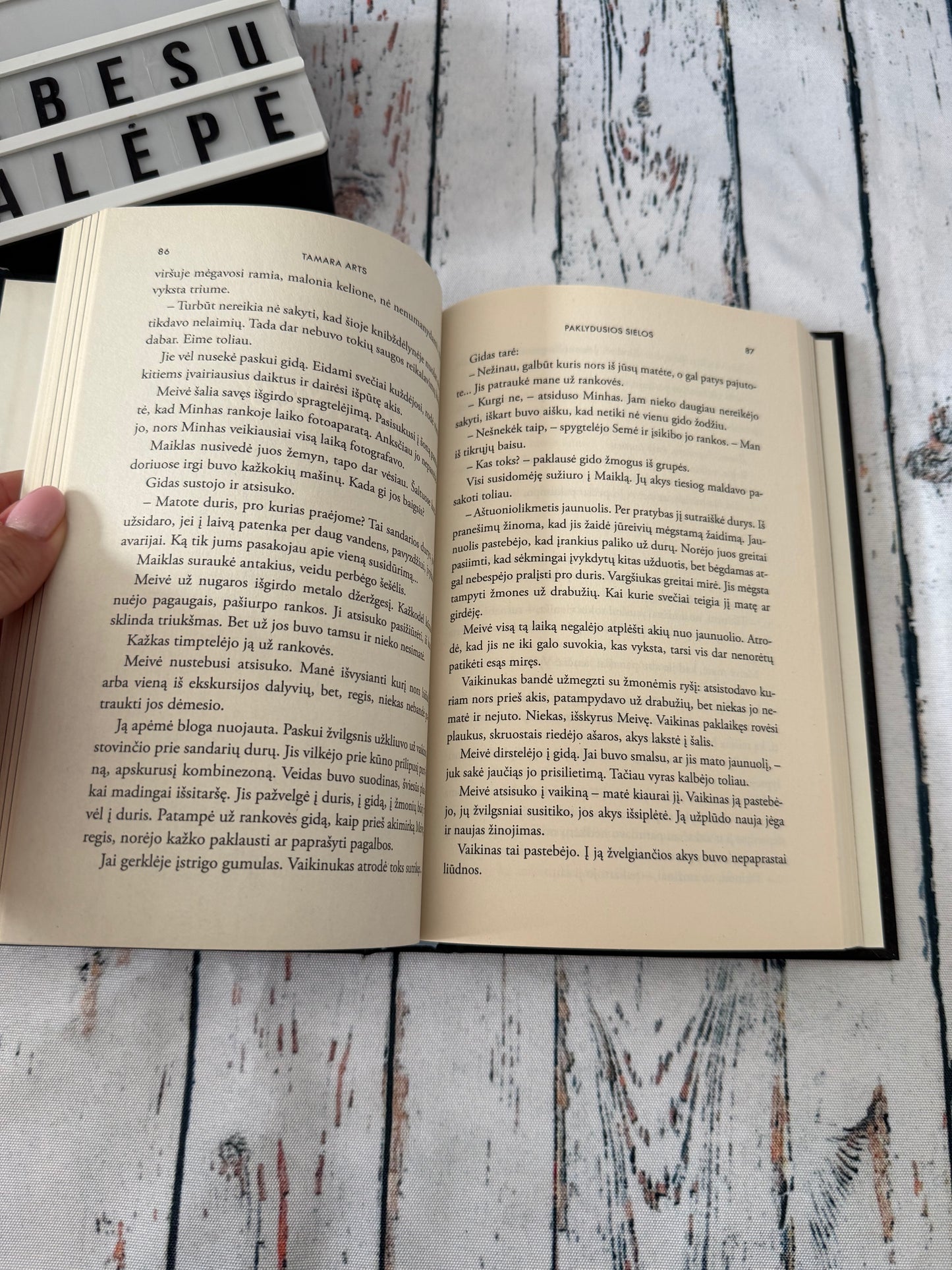 🌩️📖 Paklydusios sielos – Tamara Arts