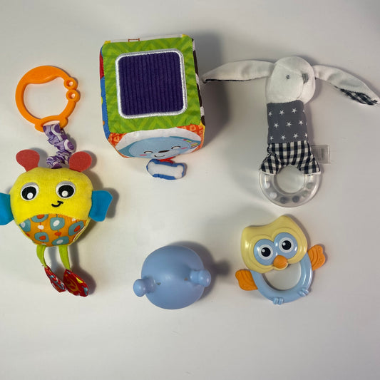 Lavinamų žaisliukų rinkinys "Švelnus pasaulio pažinimas"