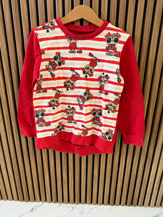 Megztinis su pelėdomis