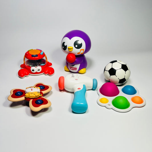 Lavinamų žaisliukų rinkinys “Pirmieji atradimai”