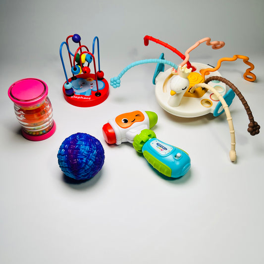 Lavinamų žaisliukų rinkinys “Pirmieji atradimai”