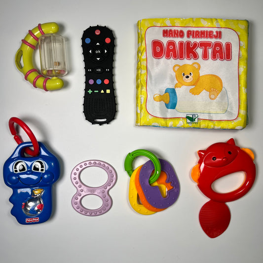 Lavinamų žaisliukų rinkinys “Pirmieji atradimai”