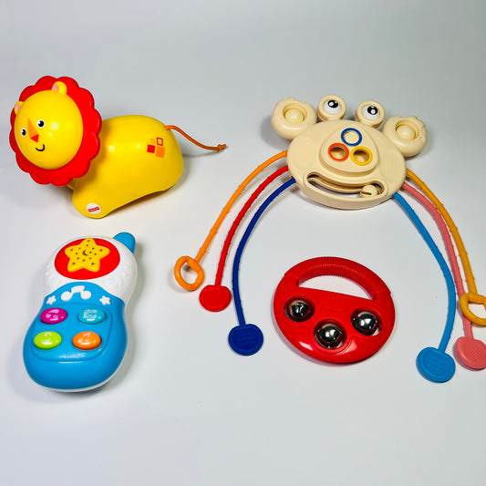 Lavinamų žaisliukų rinkinys “Pirmieji atradimai”