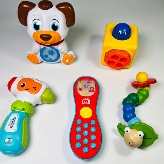 Lavinamų žaisliukų rinkinys “Pirmieji atradimai”