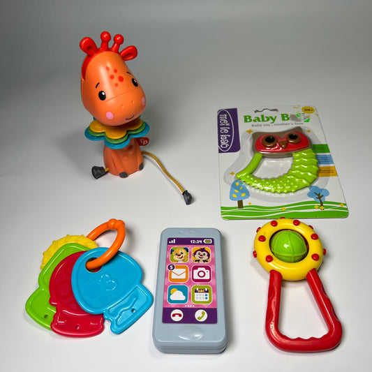 Lavinamų žaisliukų rinkinys “Pirmieji atradimai”