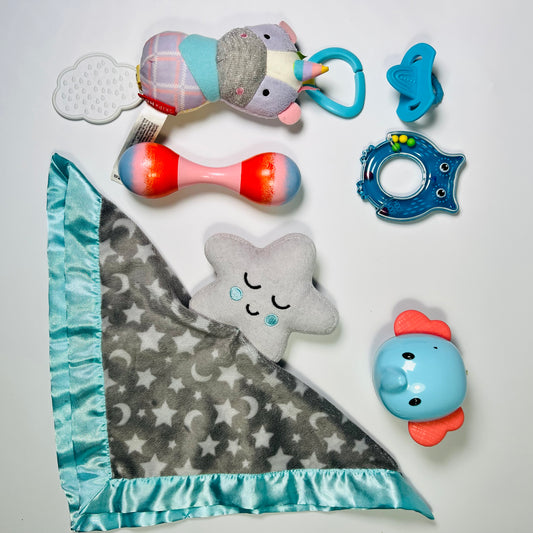 Lavinamų žaisliukų rinkinys "Švelnus pasaulio pažinimas"