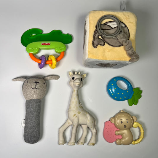 Lavinamų žaisliukų rinkinys "Švelnus pasaulio pažinimas"