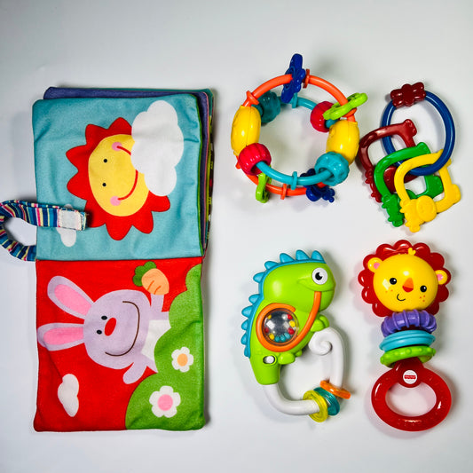 Lavinamų žaisliukų rinkinys “Pirmieji atradimai”