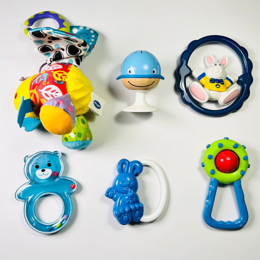 Lavinamų žaisliukų rinkinys "Švelnus pasaulio pažinimas"