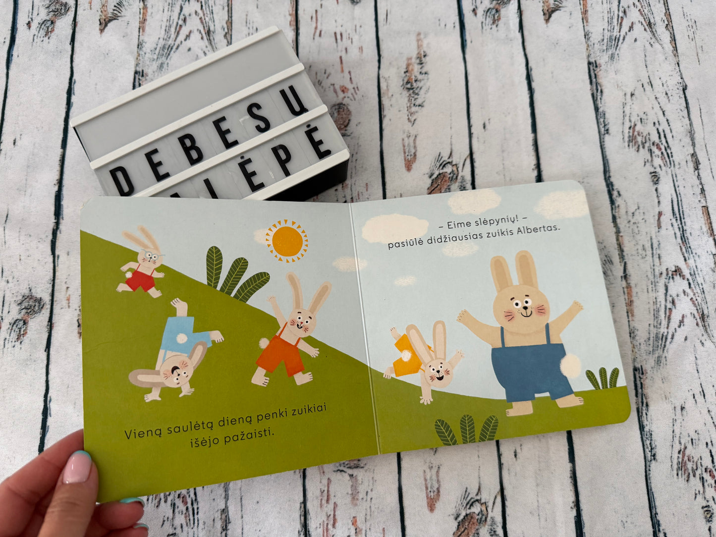 🐰📚 Vaikiška knygelė „Slėpynės“