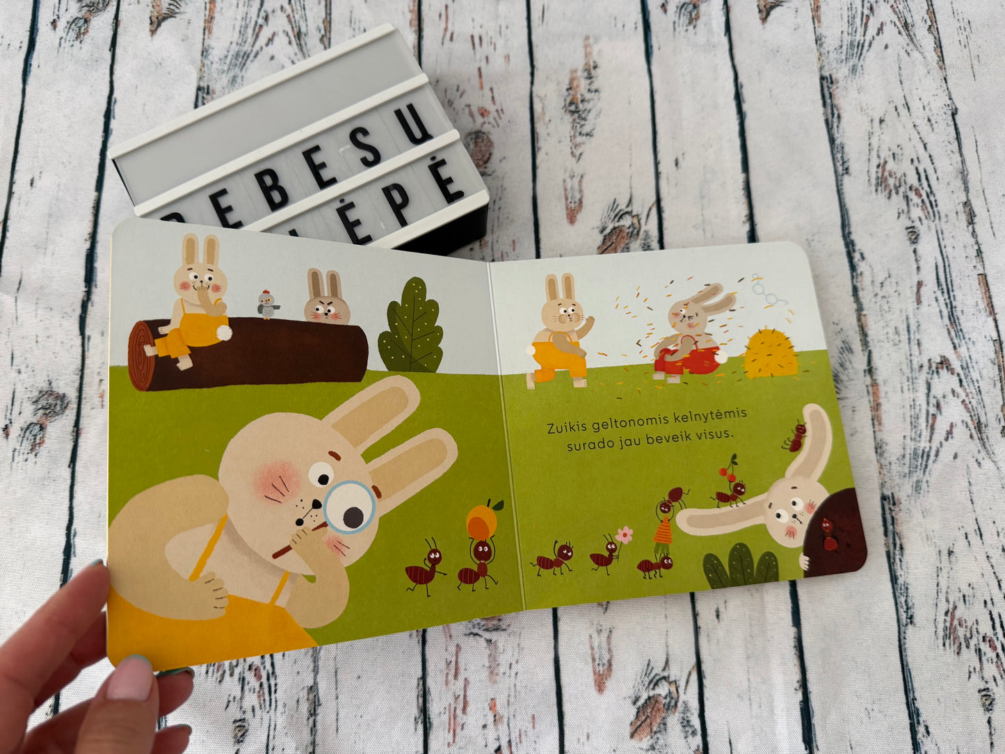 🐰📚 Vaikiška knygelė „Slėpynės“