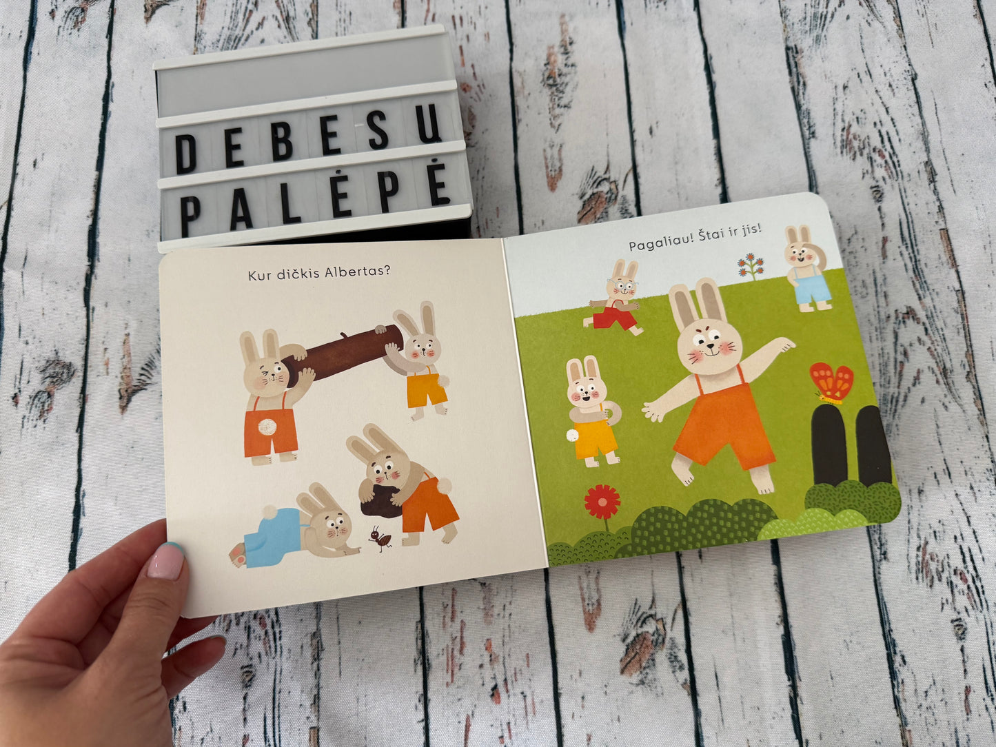 🐰📚 Vaikiška knygelė „Slėpynės“