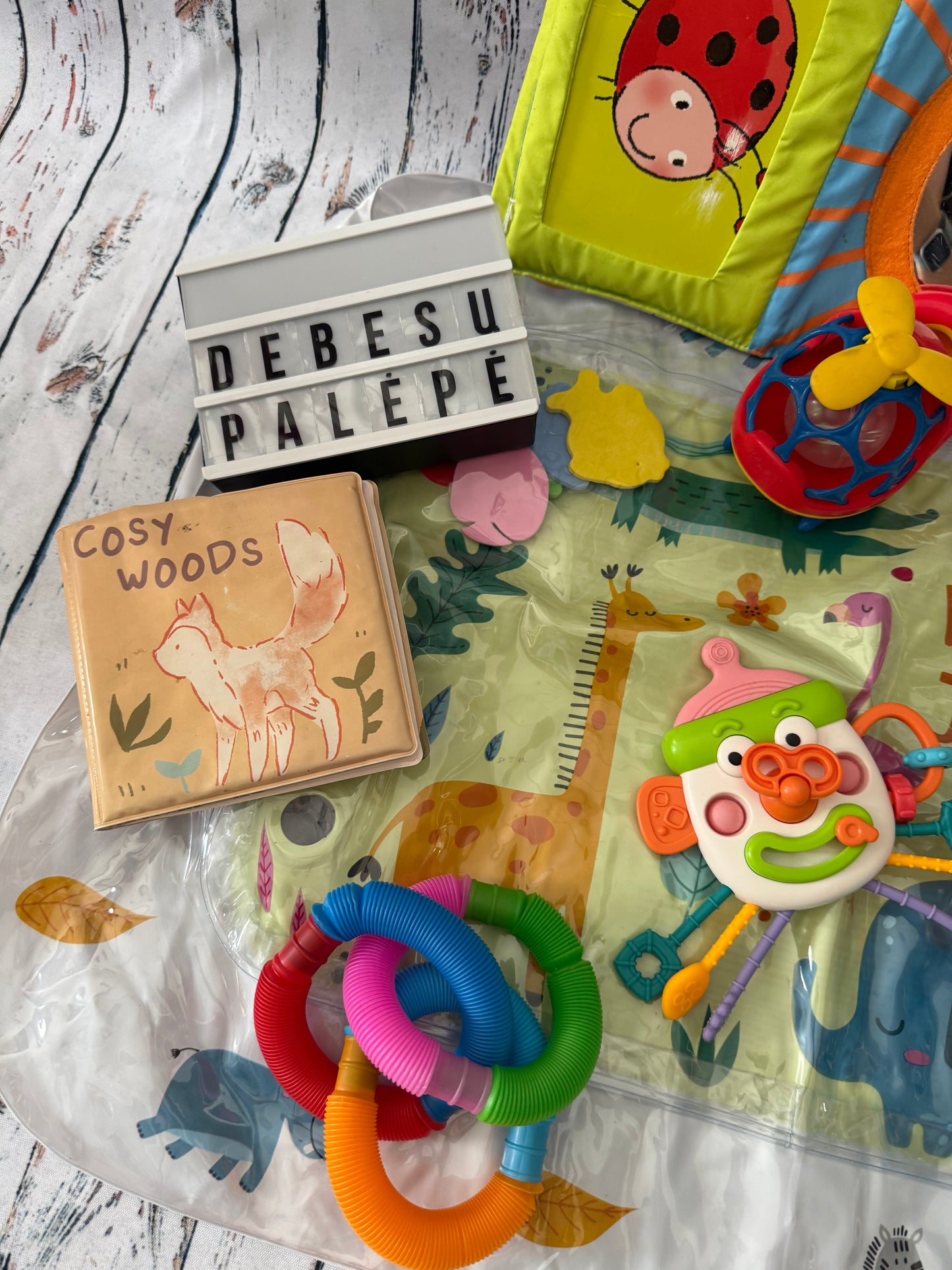 👶🌈 Lavinamųjų ir sensorinių žaislų rinkinys mažyliui