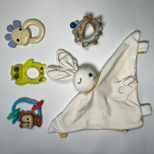 Lavinamų žaisliukų rinkinys "Švelnus pasaulio pažinimas"