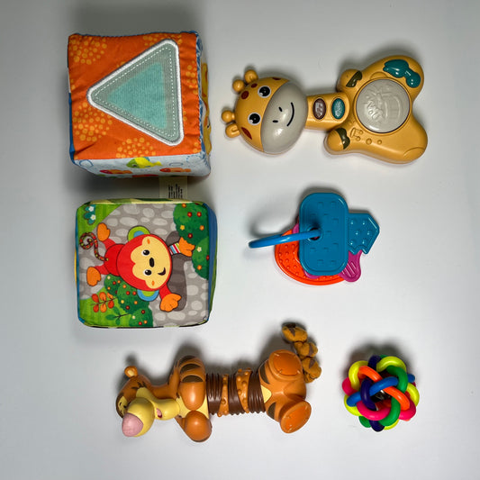 Lavinamų žaisliukų rinkinys “Pirmieji atradimai”