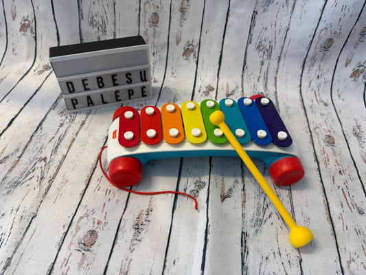 🎶🌈 Spalvingas vaikiškas ksilofonas su ratukais