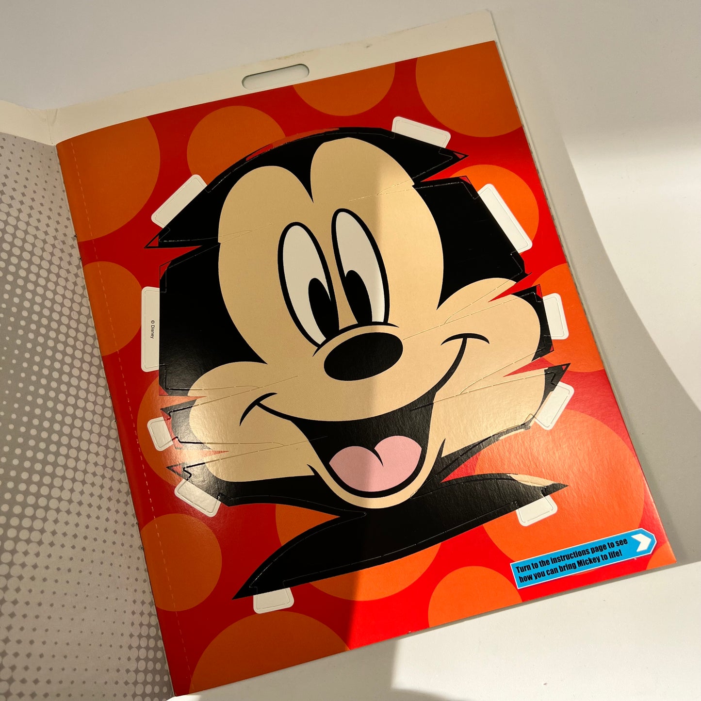 Plakatų ir užduotėlių knygutė