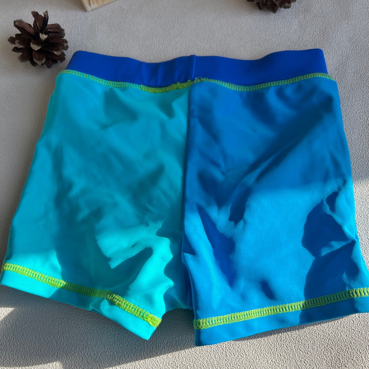 Maudymosi kelnaitės,St. Bernard