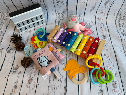 🧸🎶 Lavinamasis žaislų rinkinys „Spalvos, garsai ir pojūčiai“