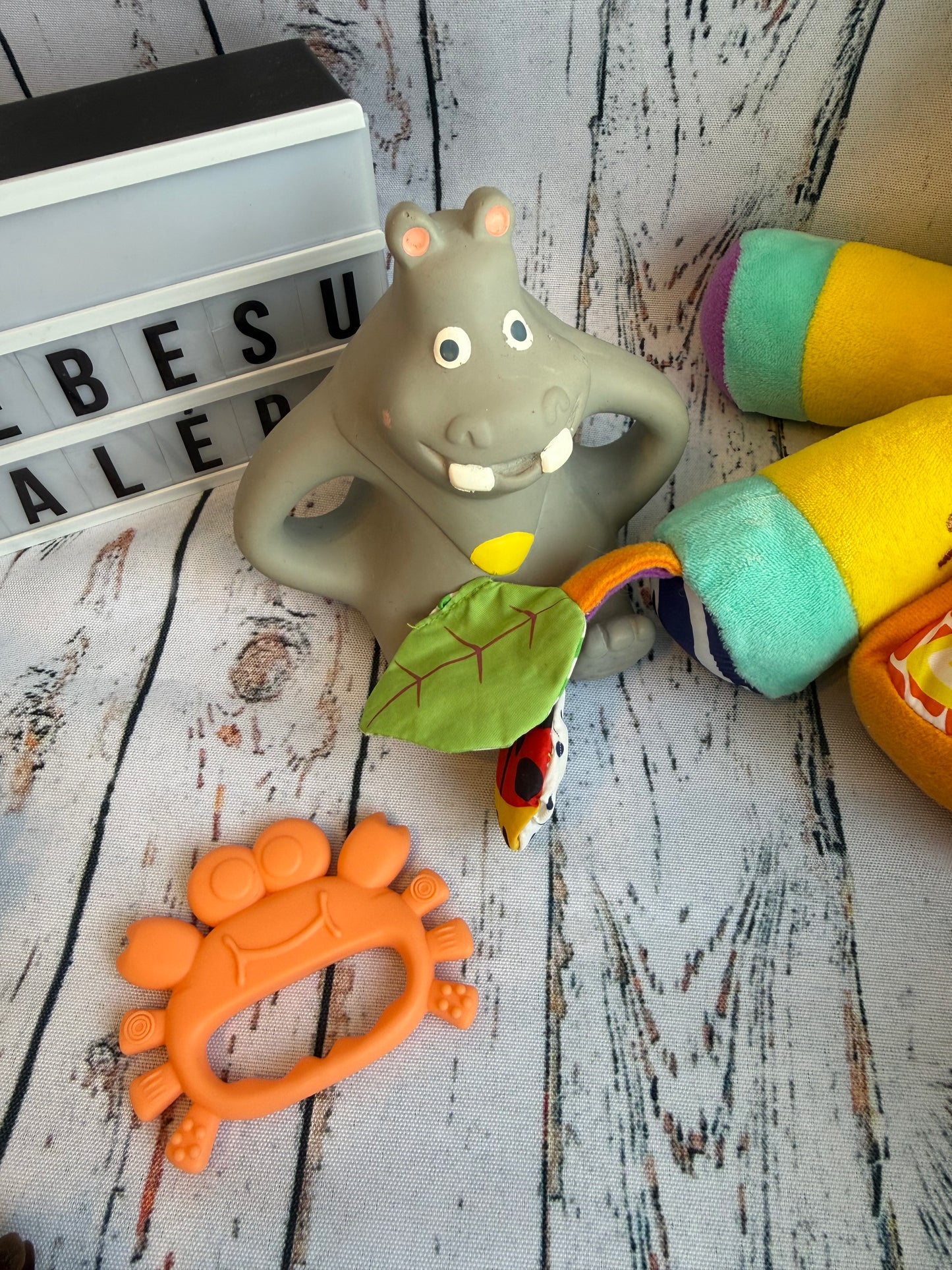 🦒🎶 Lavinamasis žaislų rinkinys „Draugiška žirafa“