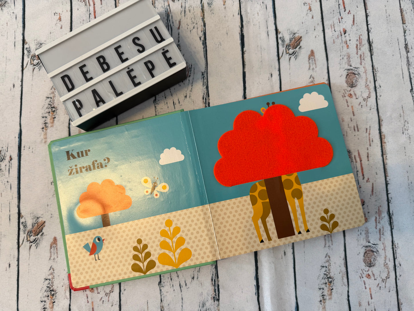 „Kur liūtas?“ – pirmoji knygelė su veidrodėliu 🦁💛