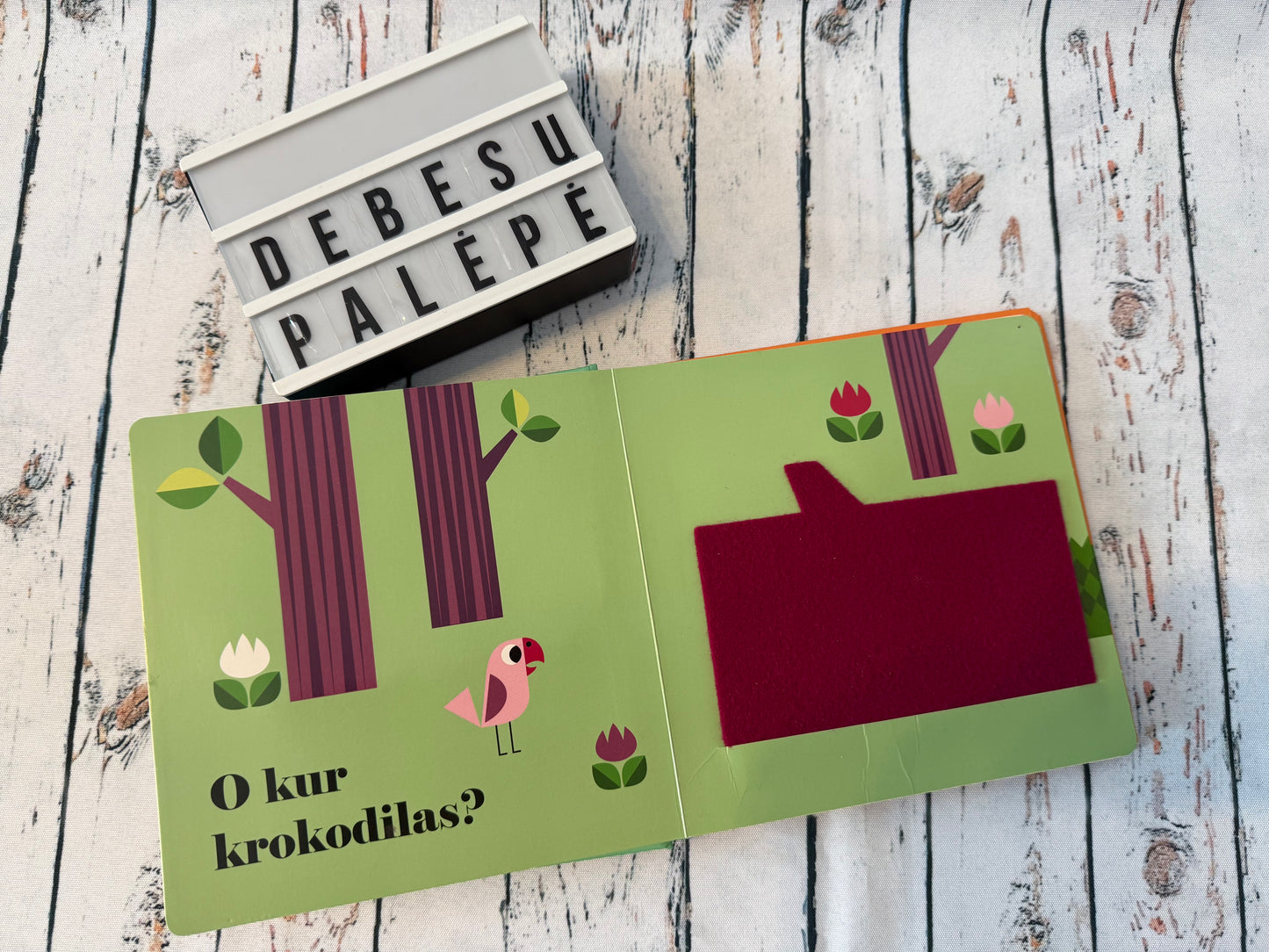 „Kur liūtas?“ – pirmoji knygelė su veidrodėliu 🦁💛