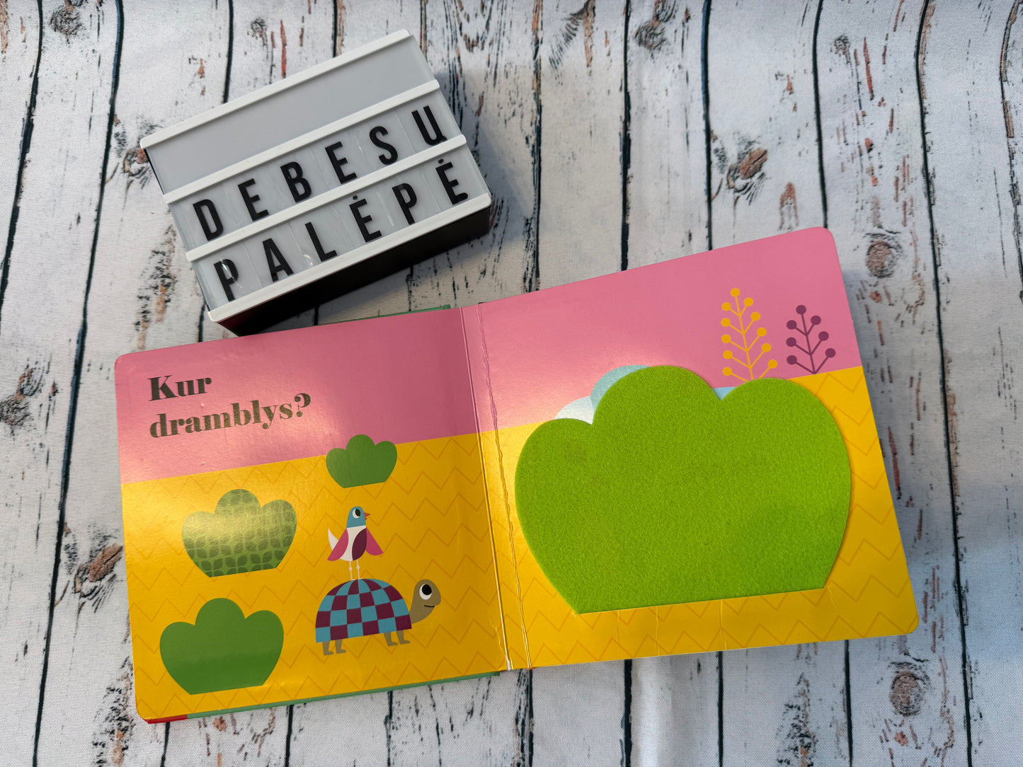 „Kur liūtas?“ – pirmoji knygelė su veidrodėliu 🦁💛