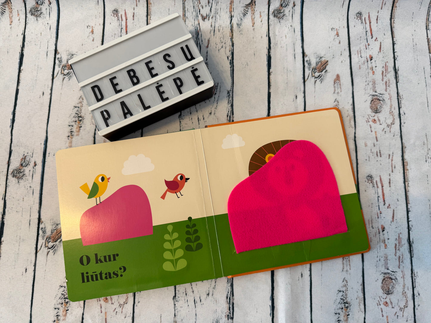 „Kur liūtas?“ – pirmoji knygelė su veidrodėliu 🦁💛