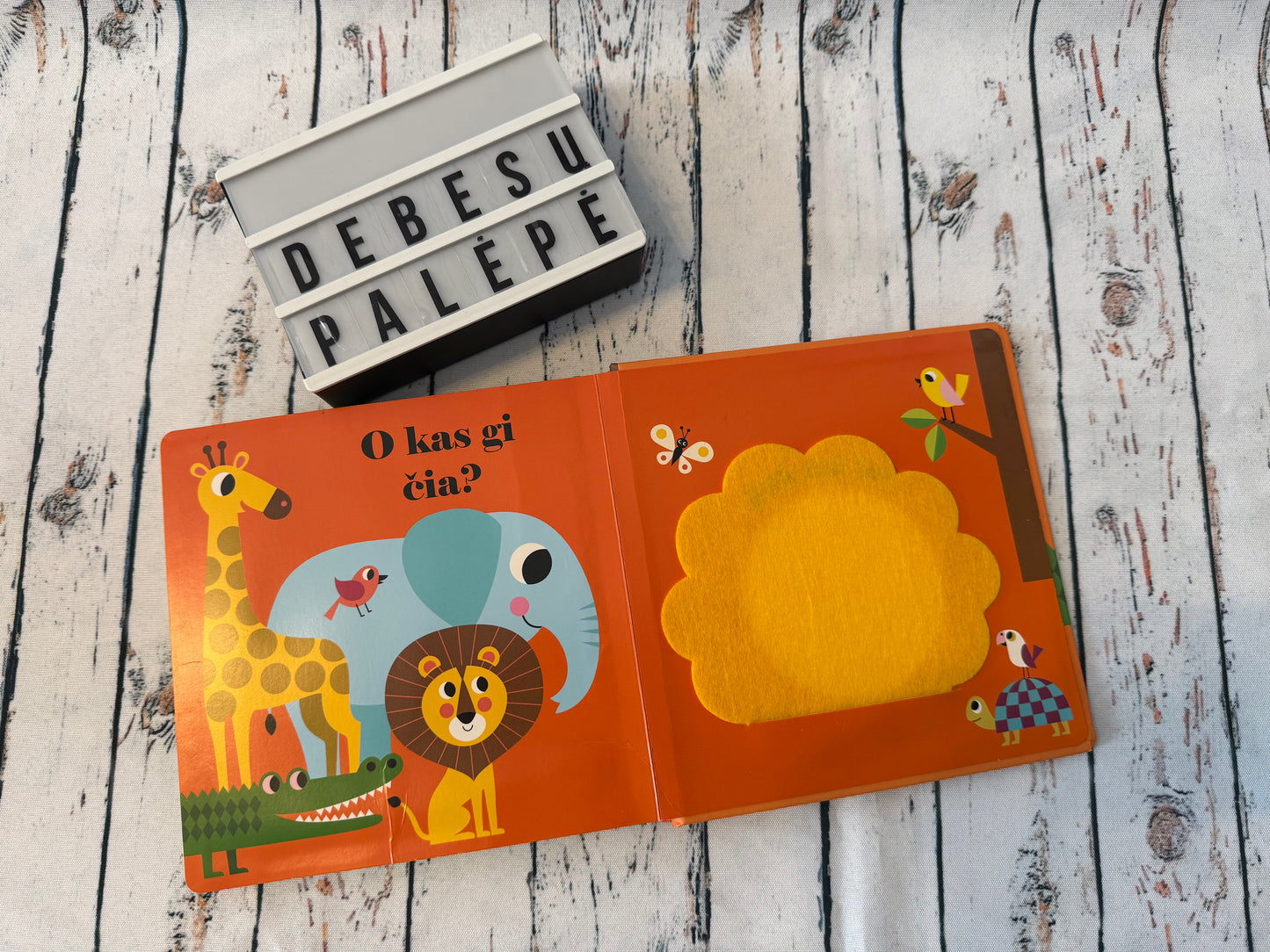 „Kur liūtas?“ – pirmoji knygelė su veidrodėliu 🦁💛