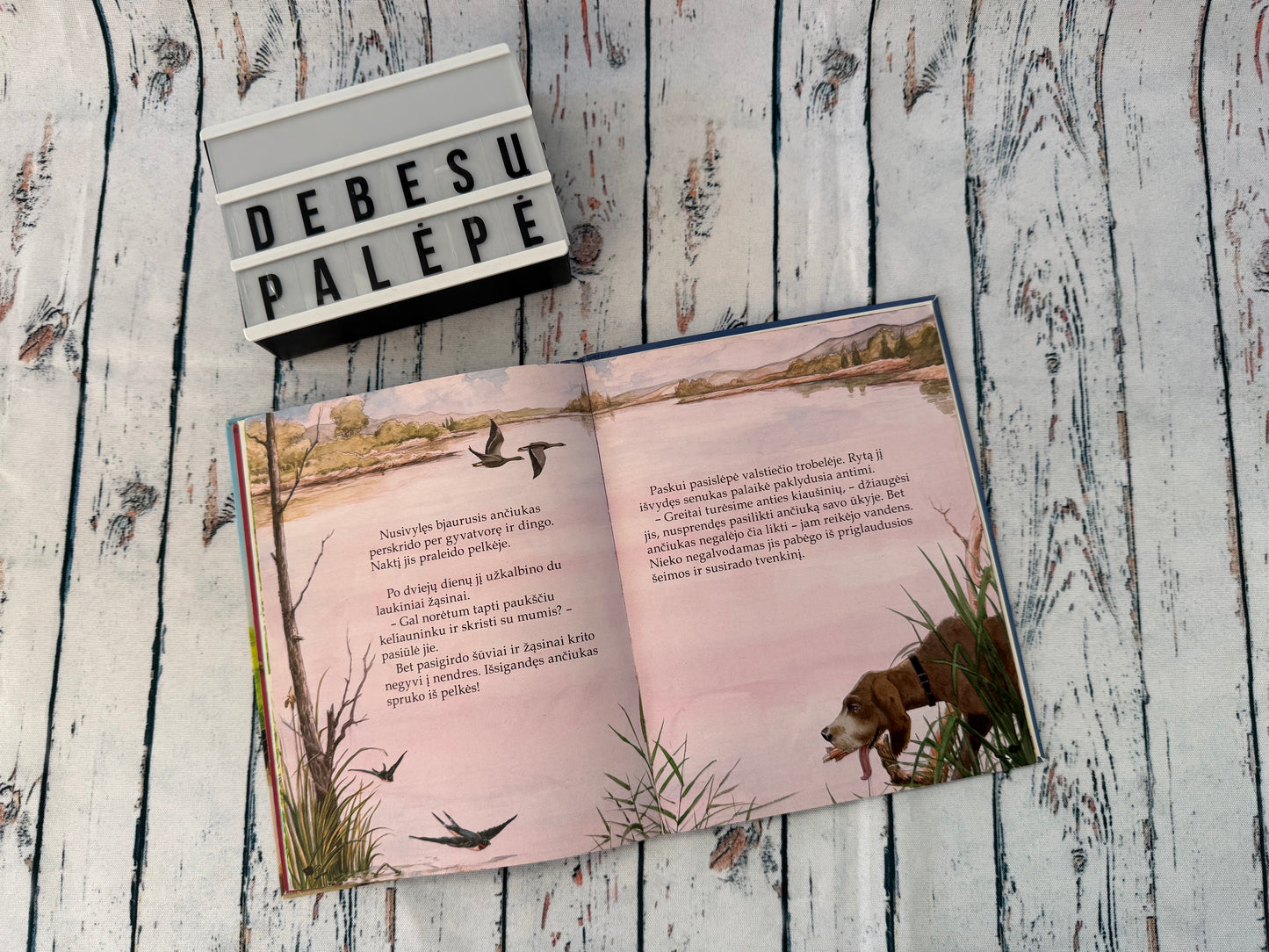 Anderseno pasakos 🦢📖