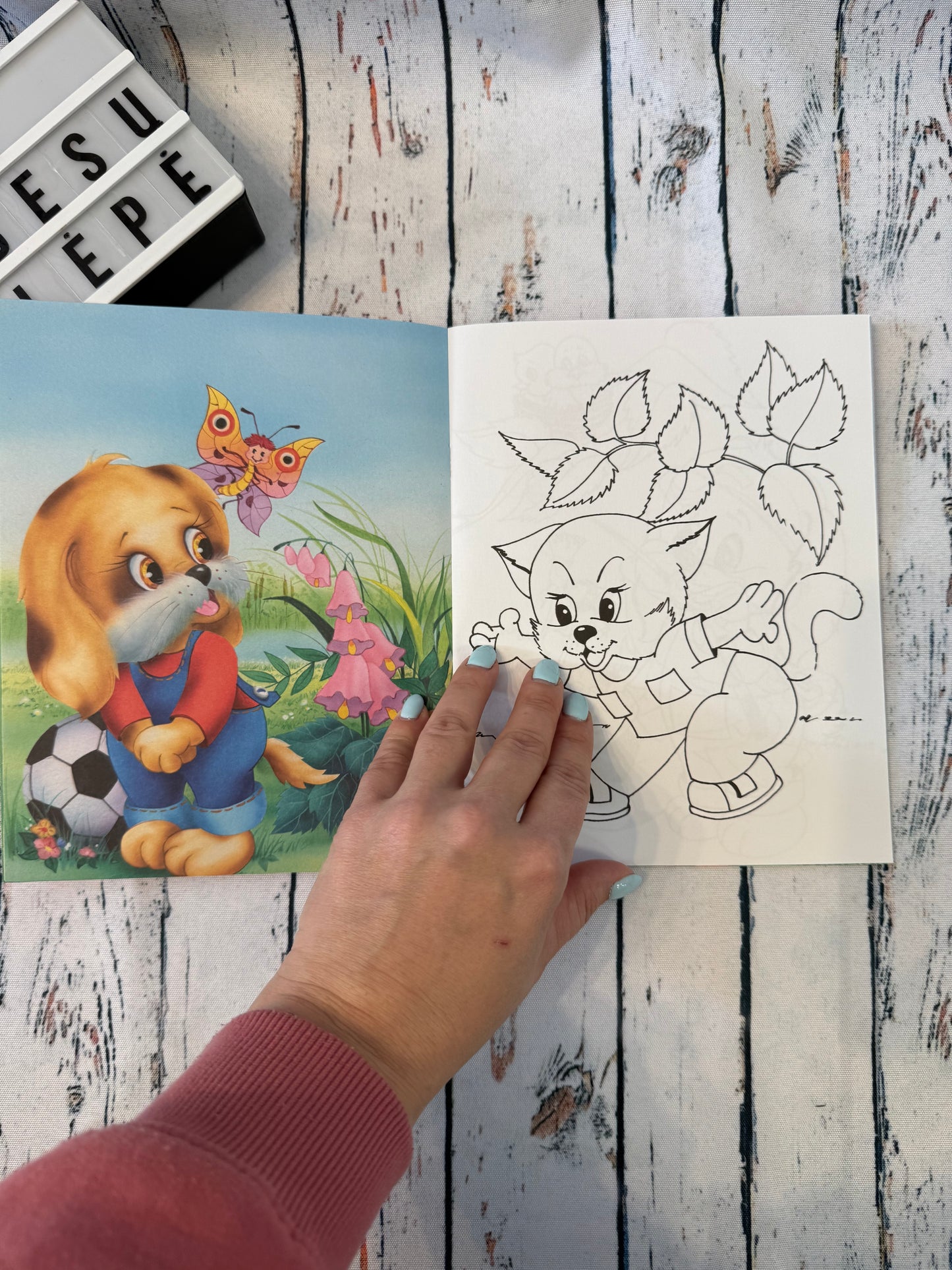 Mažas šunelis – spalvink ir skaityk knygelė 🐶🎨