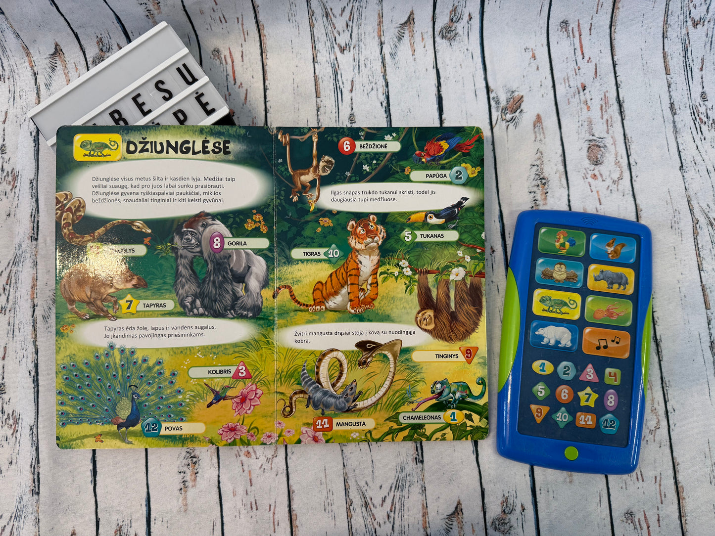🦁📚 Išmanioji gyvūnų knyga su planšete