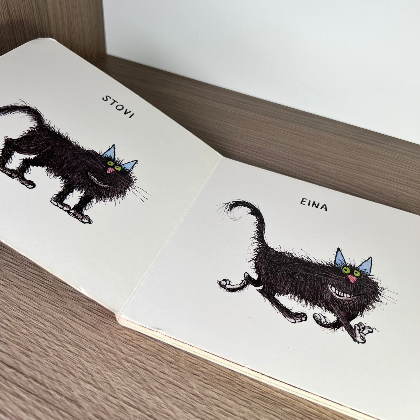 Katino Vilburo veiksmų knygelė