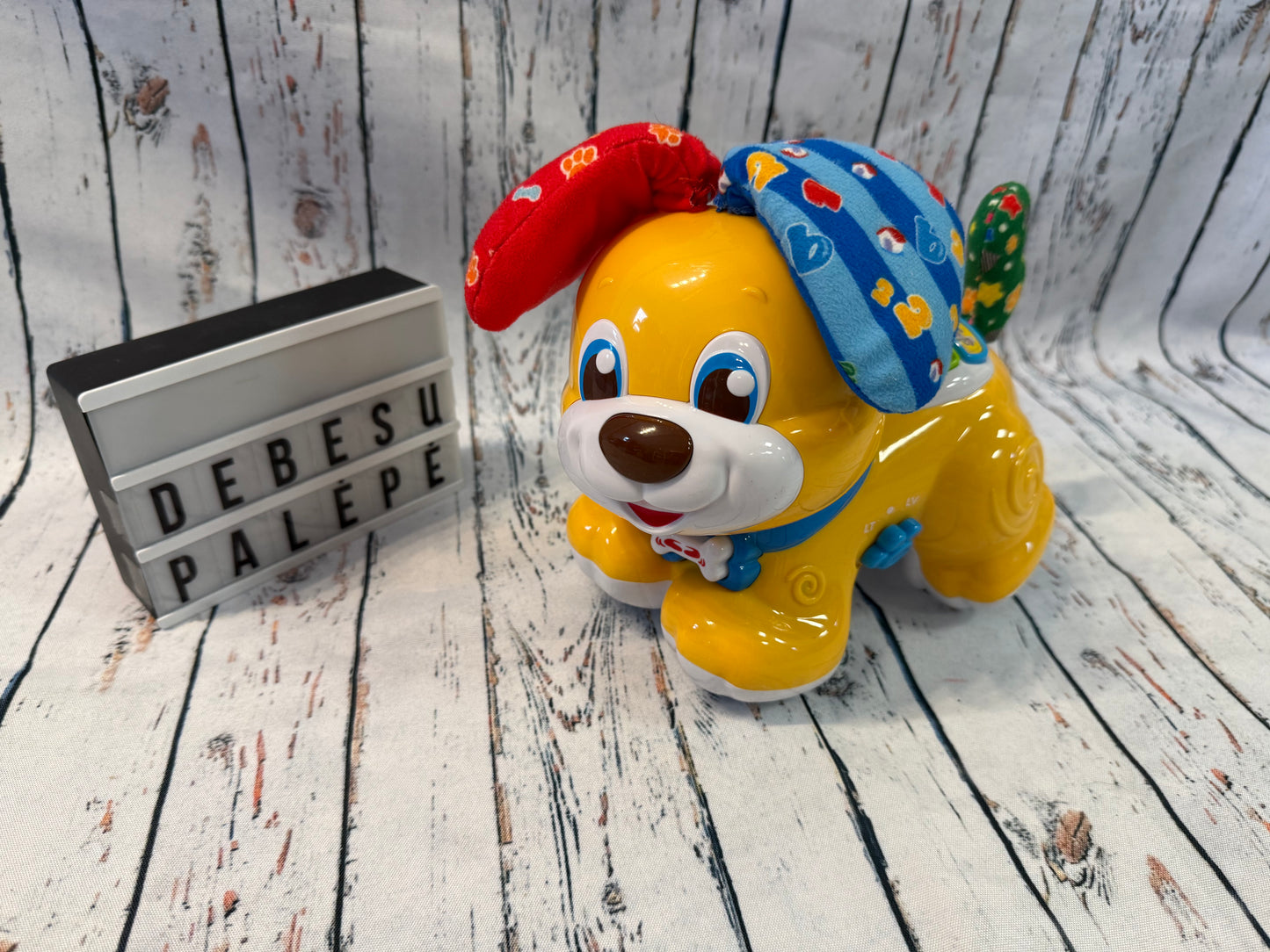 🐶🎶 Kalbantis ir važiuojantis šuniukas